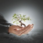 Active Green